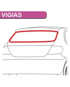 Borr vigia